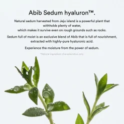 Abib Collagen Gel Mask Sedum Jelly 1 Stk