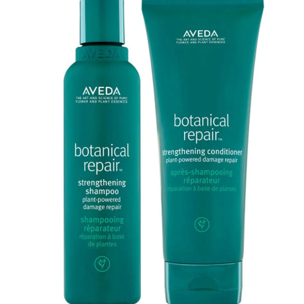 AVEDA Botanical Repair Pflegeduo