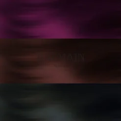 Balmain Clip Tape Extensions 25 cm Blackberry