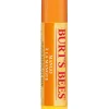 Burt's Bees Mango Lip Balm Stick 4,25 g