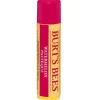 Burt's Bees Watermelon Lip Balm Stick 4,25 g