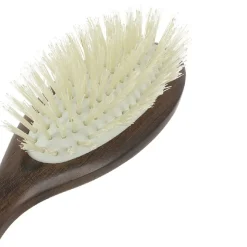 Christophe Robin Travel Hairbrush