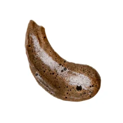 Coco & Eve Ultimate Glow Kit (Dark)