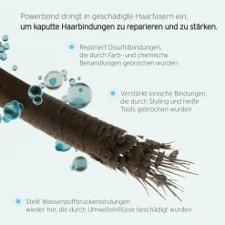 Fekkai Super Strength Protein Power Bond Conditioner 250 ml