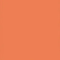 FineTex Pro "Classic'" Friseurhandtuch Apricot 50 cm x 90 cm