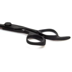 Fromm Shears Dare Schere Schwarz 5.75 Inch