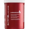 HAIR HAUS Super Brilliant Blond Blondierpulver 500 g