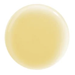 HAIR RITUEL by SISLEY Soin Lavant Revitalisant Lissant 200 ml