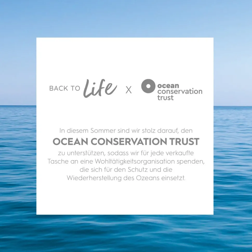 Kerasilk Reparatur Haarpflege-Set für gestresstes Haar