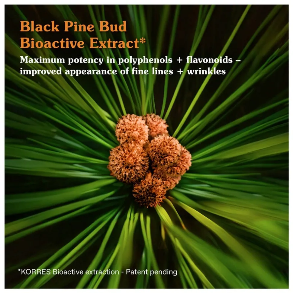 Korres BLACK PINE PRIMUS Erneuernde Nachtcreme gegen Falten 40 ml