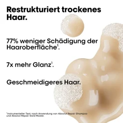 L'Oréal Professionnel Paris Serie Expert Absolut Repair Trio Holiday Set