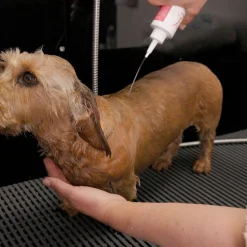 Margot Schmitt Glanz Fell Sensitiv Hunde Shampoo 250 ml