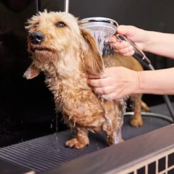 Margot Schmitt Glanz Fell Sensitiv Hunde Shampoo 250 ml