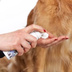 Margot Schmitt Glanz Fell Intensiv Pfotenpflege 75 ml