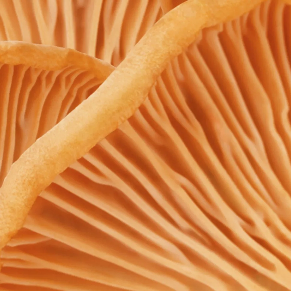 MÁDARA HIS Eye Cream 17 ml