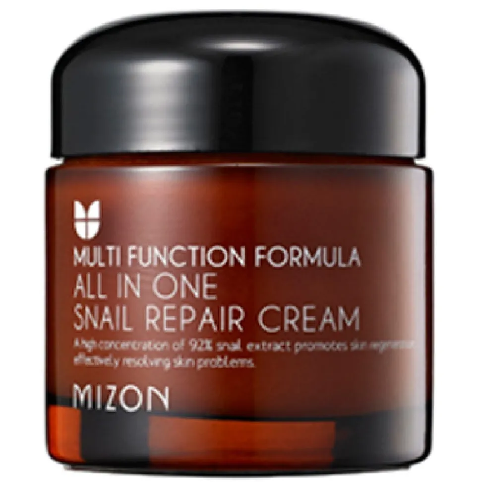 Mizon All in One Snail Repair Cream 75 g