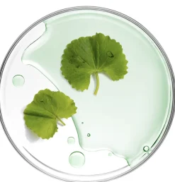 Mizon Cicaluronic Water Fit Mask 24 g