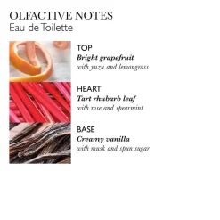 Molton Brown Delicious Rhubarb & Rose Hand Care Collection