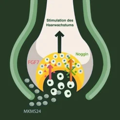 Natucain Hair Activator 100 ml