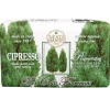 Nesti Dante Colli Fiorentini Cypress Tree 250 g
