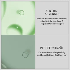 Nioxin Hair Booster Treatment 100 ml