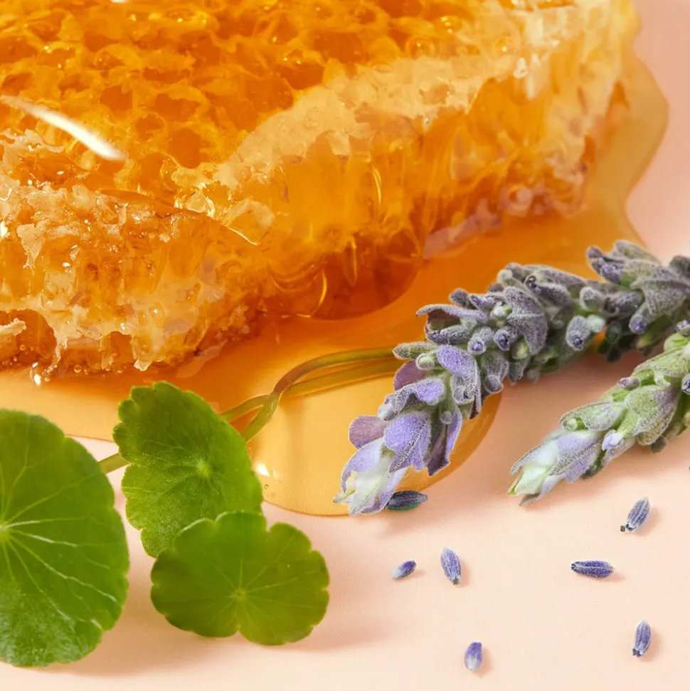 NUXE Rêve de Miel reparierende Cica Handcreme 50 ml