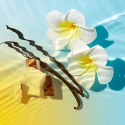 NUXE Sun Sonnencreme Gesicht LSF 30 50 ml