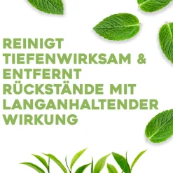 OGX Tea Tree Mint Extra Strength Conditioner 385ml