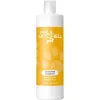 Paul Mitchell Pet Tear Free Shampoo 500 ml