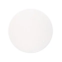 Rated Green Real Prune Color Protecting Shampoo 400 ml