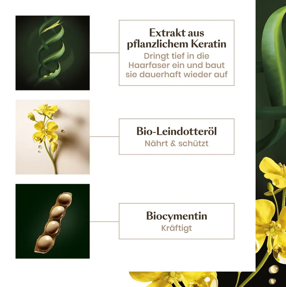 Rene Furterer Absolue Kératine Aufbauende Keratin-Maske fein-normal 200 ml