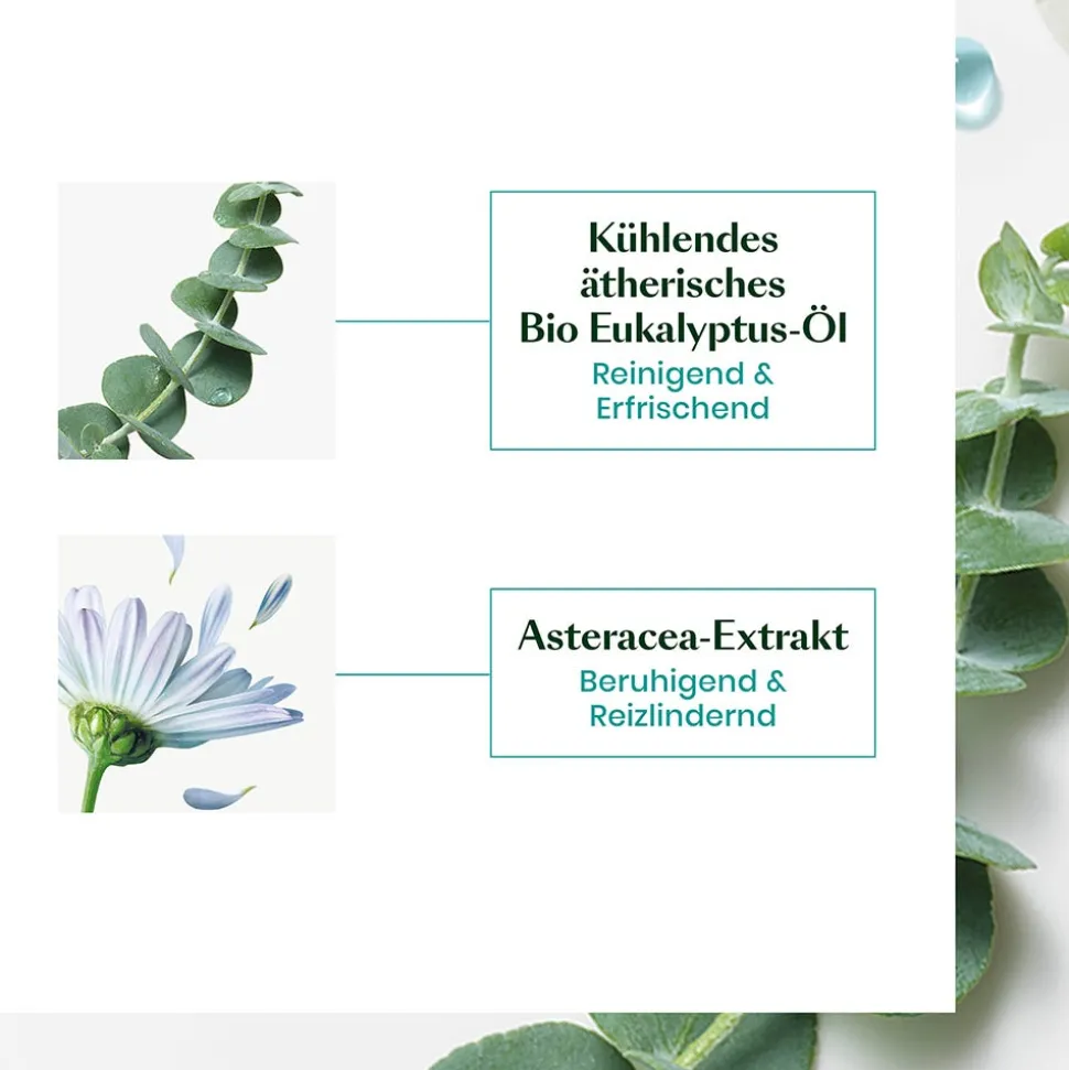 Rene Furterer Astera Head Spa Beruhigendes Konzentrat 50 ml