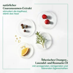 Rene Furterer Forticea Vitalisierendes Haar-Tonikum-Energie 100 ml