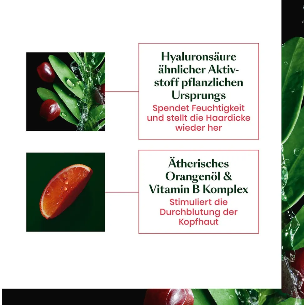 Rene Furterer Tonucia Natural Filler Maske 100 ml