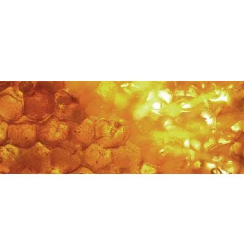 Sebastian Cellophanes Honeycomb Blond 300 ml