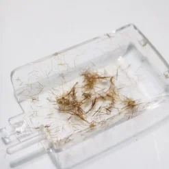 Split-Ender Pro rot - Friseur-Variante