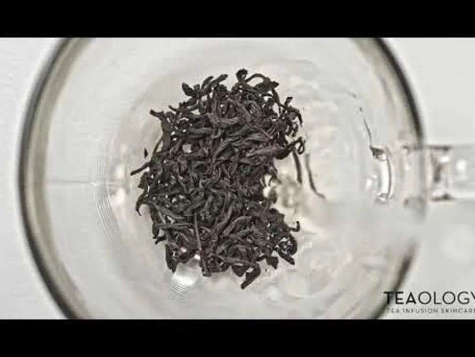 Teaology Golden Matcha Firming Glowing Mask 100 ml