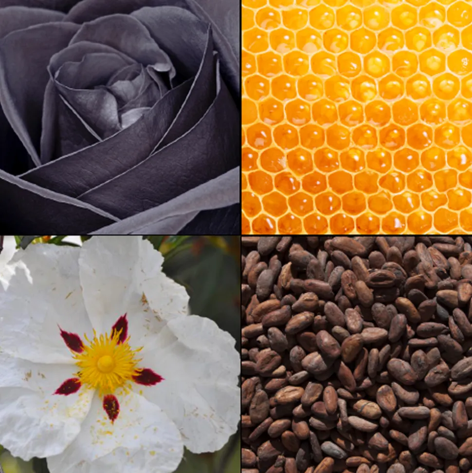 Tesori d´ Oriente Eau de Toilette Byzantium 100 ml