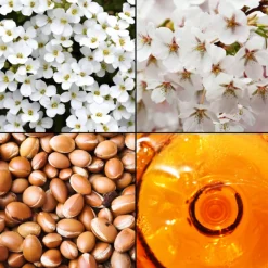 Tesori d´ Oriente Hammam Körpercreme 300 ml