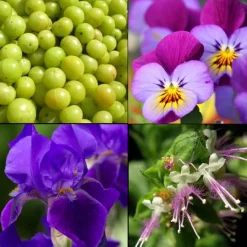 Tesori d´ Oriente Handcreme Ayurveda 75 ml