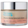 The Organic Pharmacy Vitamin Protection Face Cream 50 ml