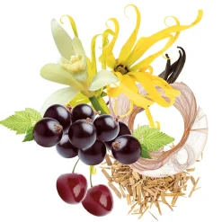 Trussardi Ruby Red Set