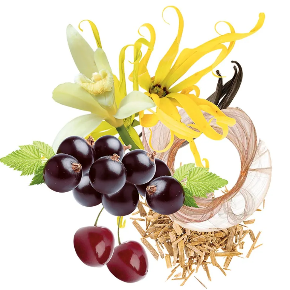 Trussardi Ruby Red Set