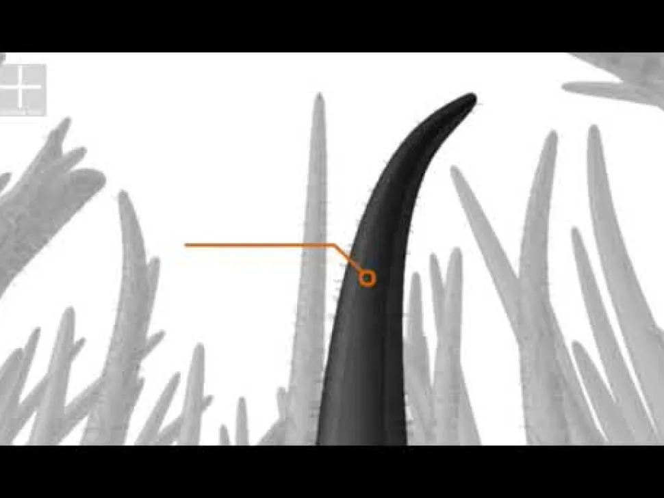 Volume Hair Fibers Hellblond 12 g