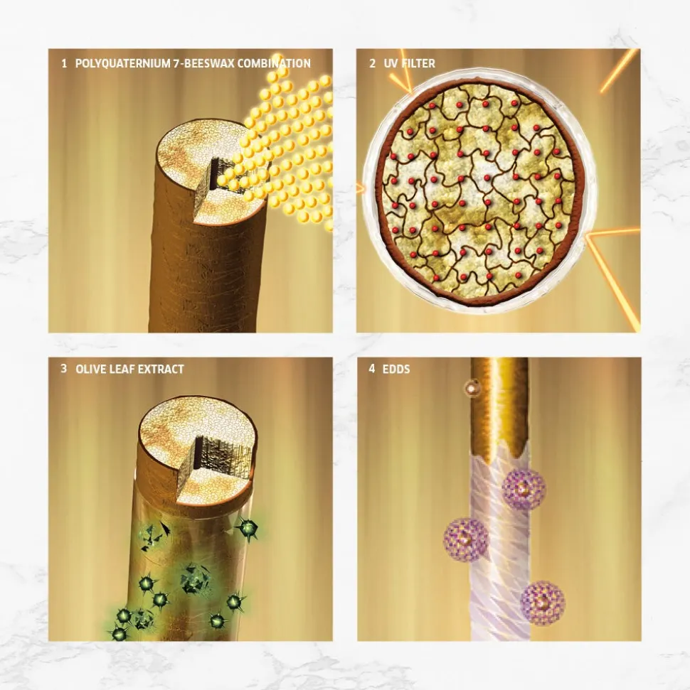 Wella SP Color Save Shampoo 1000 ml