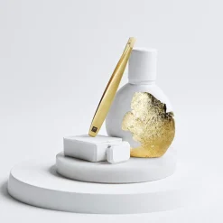 Zwilling Twinox Gold Pinzette Schräg
